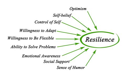 Transparency and honesty. . Why is it important to practice resiliency as part of the 5rs of cultural humility